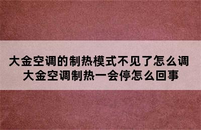 大金空调的制热模式不见了怎么调 大金空调制热一会停怎么回事